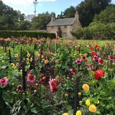 云顶集团下载手机版